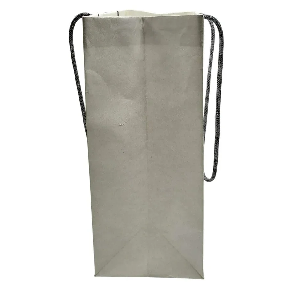 Apple Store Shopping Bag Gift Bag 11X8X5 White Grey Paper Reusable